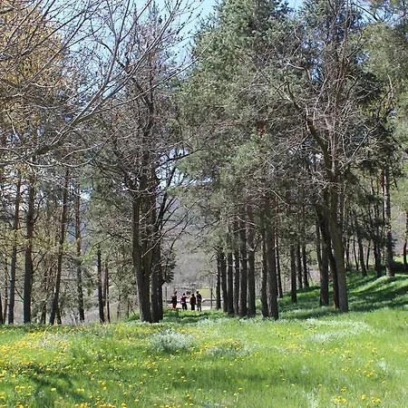 Летний дом Casa De Colonies Vall De Boi - Verge Blanca Llesp